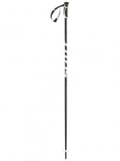Scott Punisher Ski Poles